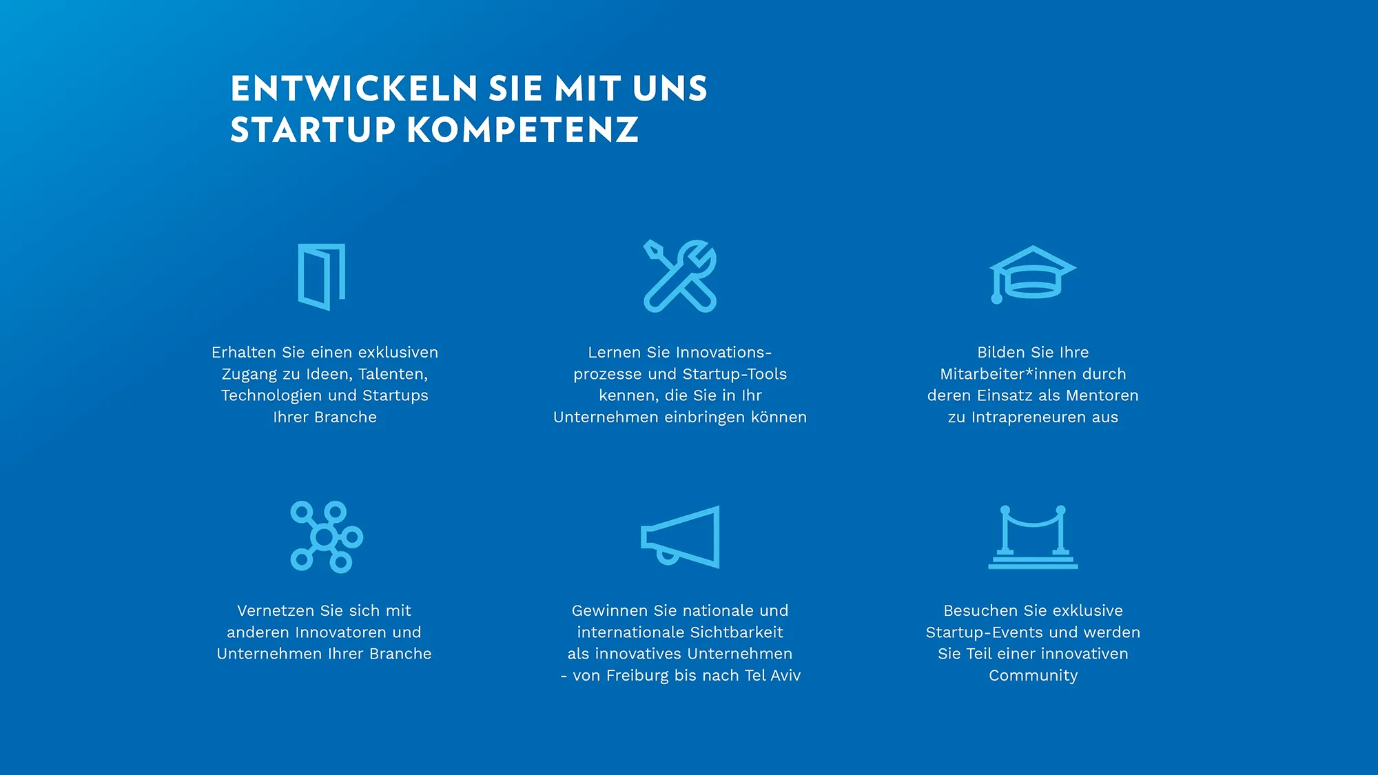 Icons für die Startup Kompetenzen